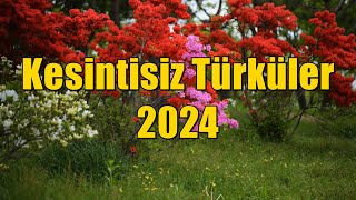 Türk Halk Müziği En İyiler  Kesintisiz Türküler 2024 KESİNTİSİZ  HD türkü türküler [upl. by Chaunce877]