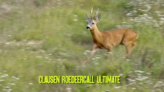 Calling in a buck using Clausen Roedeercall Ultimate [upl. by Amaryllis53]