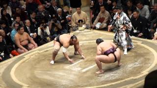 遠藤２敗目！大砂嵐ｖｓ遠藤（平成26年・初場所中日 Day 8 Sumo Hatsu Basho Jan 2014） [upl. by Yeltrab]