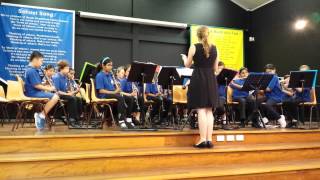 Strathfield South Public School end of year Junior Band performance 2014 [upl. by Lebatsirhc916]