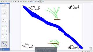 Patterns of Evolution Part 2 Speciation [upl. by Standice]