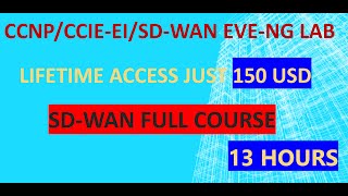 Cisco SDWAN full Corse  With Lab offer [upl. by Yttam]