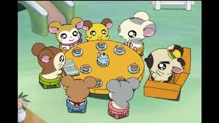 Hamtaro Episode 269 Satisfied Bijou ENGLISH SUBBED ハム太郎 第269話 熱い！ リボンちゃん 英語字幕 [upl. by Ertemed]