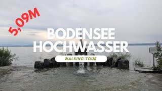 509m Bodensee Hochwasser Immenstaad am Bodensee 11 Juni 2024 [upl. by Oberon]