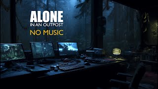 ALONE Dark Forest NO MUSIC Sleep Study Focus Ambient 4K [upl. by Klepac]