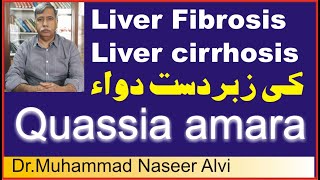 Fibrosis  Cirrhosis  causes symptoms diagnosis treatment homeopathic remedy Quassia amara [upl. by Enelyam585]