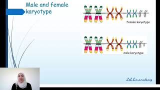 Karyotype and criteria to classify chromosomes [upl. by Trela]