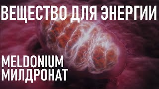 Мельдоний Meldonium ЗАЧЕМ СОВЕТЫ  СПОРТ И МЕДИЦИНА  What is Meldonium [upl. by Pentheam135]