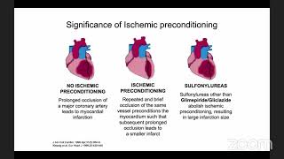 Dược lý lâm sàng Sulfolurea Glipizide Gliclazide Glimepiride [upl. by Leora]