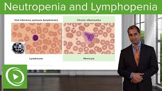 Quantitative WBC Disorders Leukocytosis amp Leukopenia – Pathology  Lecturio [upl. by Jowett]