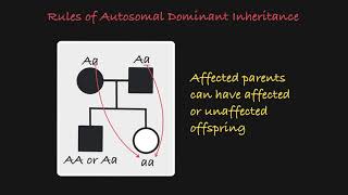 Autosomal Dominant Traits in a Pedigree [upl. by Fachini]