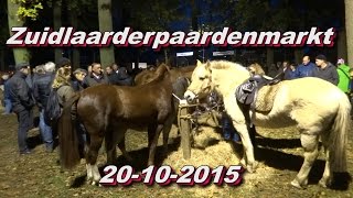 Zuidlaarderpaardenmarkt 20 10 2015 [upl. by Ronym892]