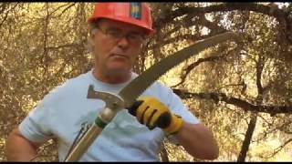 Pruning Techniques Using the Flexure of the Pole Saw  Prune Like a Pro [upl. by Akimot]