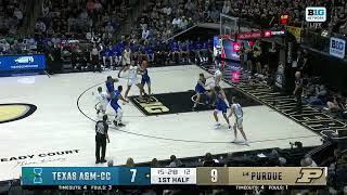 Braden Smith Season Opening DOUBLEDOUBLE vs Texas AampMCC  Purdue Basketball  11042024 [upl. by Ballman268]