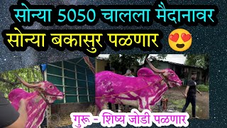 सोन्या 5050 आणि बकासुर गाडी पळणार 27 तारखेला [upl. by Toblat310]