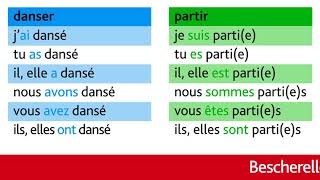 CE1  Le passé composé des verbes du premier groupe [upl. by Cain]