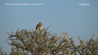 A birder’s paradise [upl. by Aokek367]