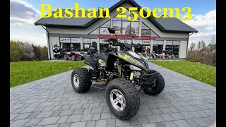 Quad Bashan 250 Homologacja chłodzony cieczą XONE [upl. by Inava]