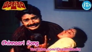 Ankusham Movie Songs  Chinnaari Song  Rajasekhar  Jeevitha [upl. by Tallbot]