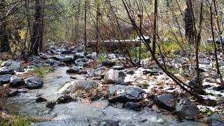 Coconino National Forest Pine Flat Campground Arizona [upl. by Llenaj]