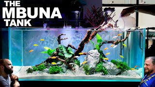 The Mbuna Tank EPIC 4ft FIRST TIME Aquarium Aquascape Tutorial [upl. by Arag]