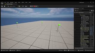 UE5 Toggle flags example [upl. by Ahso]