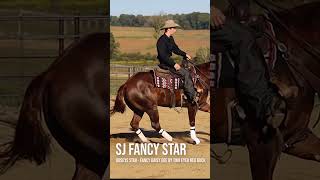 SJ Fancy Star 2020 AQHA Filly  ReiningRanch Horse Prospect congressranchhorsesale reining [upl. by Meletius]