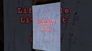 🍄Jadu Liverwort And Mosses life 😇cycle Neetbiology neetmotivation youtubeshorts youtubefeed [upl. by Corella]