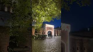 Музей Янтаря Калининграда калининград Кёнигсберг Königsberg amber kaliningrad travel [upl. by Demott235]