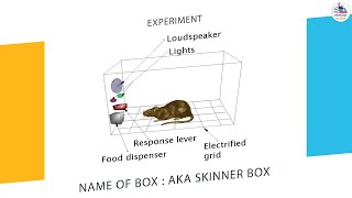 Skinners Operant Conditioning Theory Full Video [upl. by Yardley723]