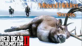 RDR2  Rare Occurrences that are hidden to most Red Dead 2 players No game can rival RDR2 [upl. by Benyamin]