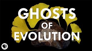 Ghosts of Evolution [upl. by Carr]