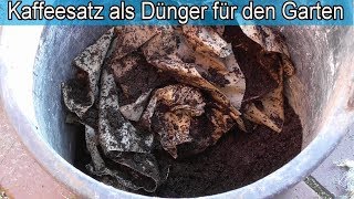 Kaffeesatz als Dünger für den Garten amp Pflanzen  Umweltfreundlicher Kaffee Dünger selber machen [upl. by Ellehsal839]