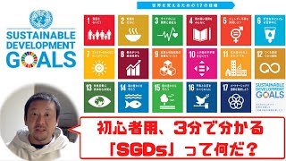 SDGsって何だ？3分で分かるSDGs🔰初心者用 Part1 [upl. by Arihaz]