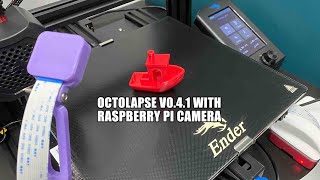 The Octolapse 041 With Raspberry Pi Camera [upl. by Phelan818]