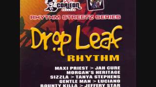 Drop Leaf Riddim Mix 2005 By DJ WOLFPAK [upl. by Elena935]