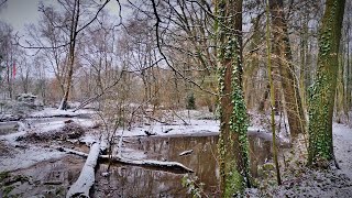 NORTHERN GERMANY  WINTER norddeutschland quakenbrück [upl. by Ayalahs]