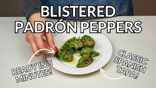 Blistered Spanish Padrón Peppers Easy Tapas Recipe [upl. by Grodin]