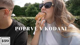 Do Kodaně autem se dvěma dětmi 🤍 VLOG [upl. by Odraner518]