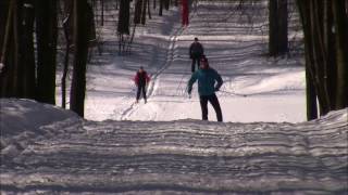 xcskiing downhill techniques [upl. by Satsok]