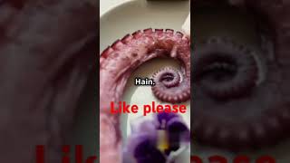 Octopus 🐙🐙 ke bare me 10 instring facts facts facttechztopickahaselatahai interestingfacts daily [upl. by Alasdair]