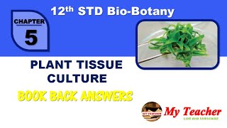 12th BioBotany Chapter5 Book Back Answers  My Teacher [upl. by Chadwick]