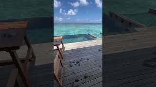 Hilton Amingiri Maldives overwater Villa [upl. by Snashall]