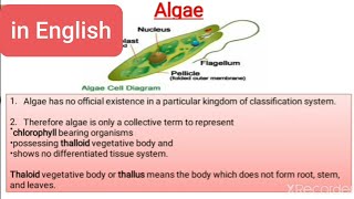 Algae  General Characteristics Thallus structure reproduction classification and economic imp [upl. by Rasmussen]