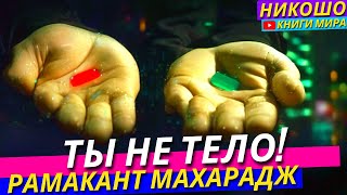 ТЫ Не Просто Тело Узнай КТО ТЫ И НА ЧТО СПОСОБЕН Открой Свою Суперсилу Никошо Рамакант Махарадж [upl. by Natye598]