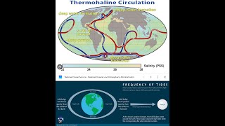 Perpetual Thermohaline Circulation [upl. by Aynek]