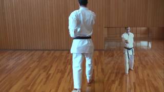 石峰抜塞 ishimine bassai  糸東流空手道 Shito ryu karate do [upl. by Hepsoj]