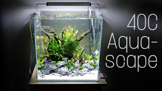 UNS 40C Aquascape [upl. by Shapiro42]