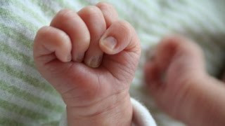 Kleine vechters te vroeg of ziek geboren babys [upl. by Ebeohp]