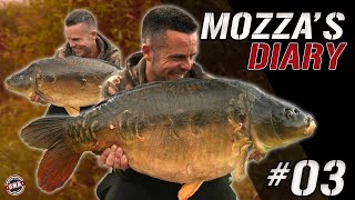 MOZZAS DIARY 03  quotIVE NEVER HEARD OF THIS PLACEquot  DNA BAITS  CARP FISHING  WIN AMINO SMOKE [upl. by Ocsic439]